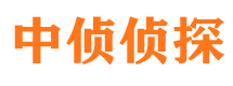 富拉尔基侦探公司